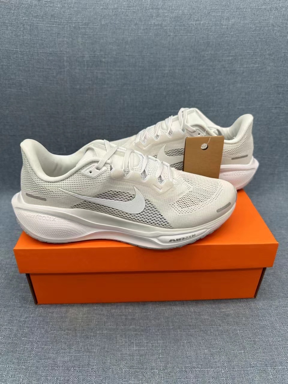 Nike Zoom Air / Nike Air Zoom Pro-Type White